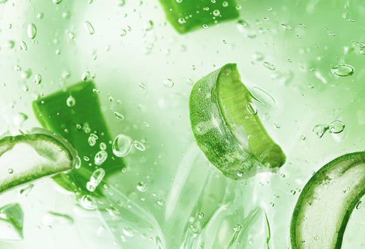 Different Ways Consuming Aloe Vera Can Improve Your Health