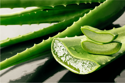 Does Aloe Vera Help with Acne? Benefits of High-Quality Aloe Products