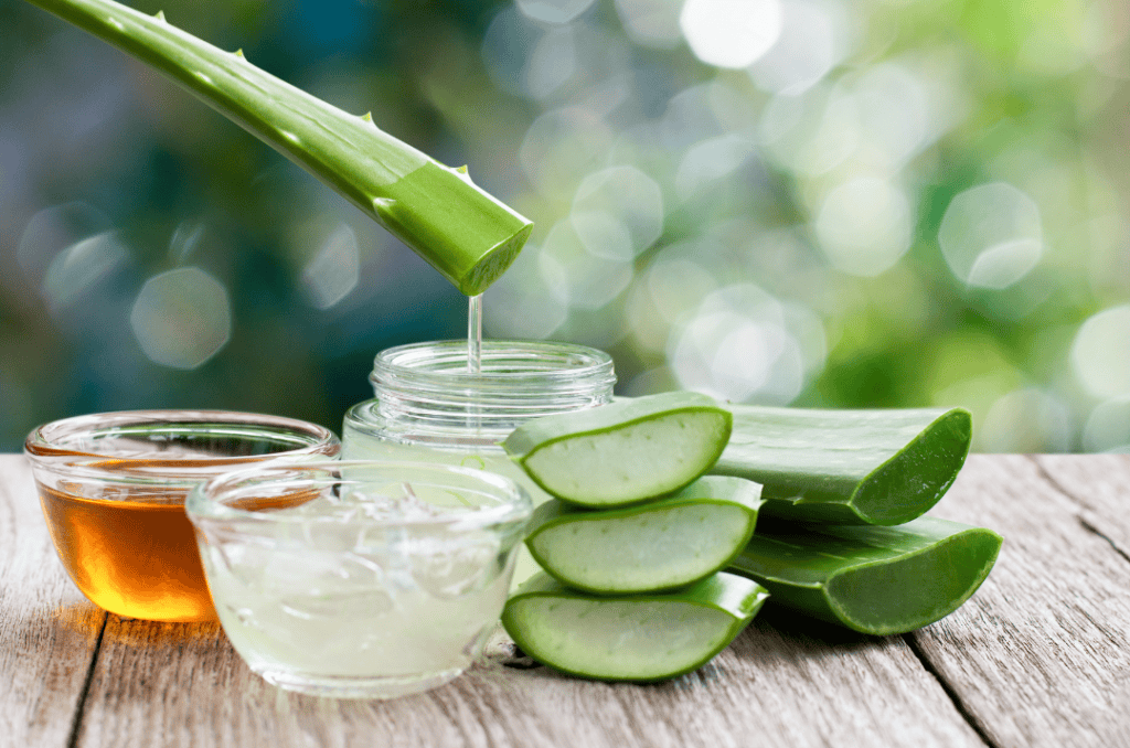 High-quality Aloe Vera