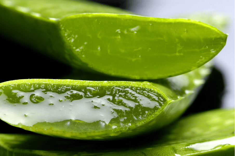 benefits of shampoo with aloe vera for women