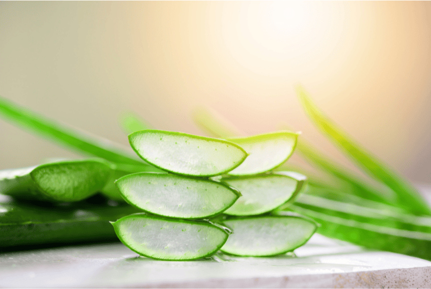 How Often to Apply Aloe Vera to Sunburn for Optimal Benefits